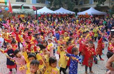 越南全国各地举行多彩活动 迎接2019年春节（组图）