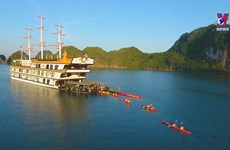 越南国内游客的春游需求巨大  旅游业释放积极信号