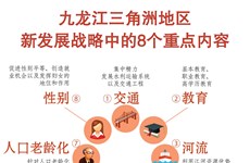 图表新闻：九龙江三角洲地区新发展战略中的8个重点内容