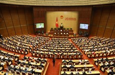 越南第十四届国会给选民留下深刻烙印