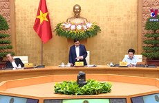 越南政府总理范明政主持召开政府会议