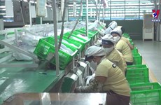 耐克集团继续在越南平阳省投资扩大生产能力