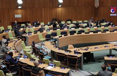 越南主持召开联合国安理会阿里亚模式会议