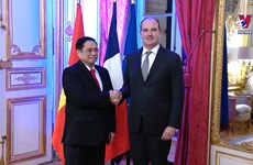 越南政府总理范明政与法国总理让•卡斯特克斯举行会谈