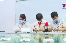 北宁省各家企业安全适应疫情 促进生产经营稳步发展