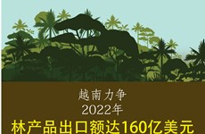 图表新闻：越南力争2022年林产品出口额达160亿美元