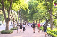 2022年年初河内市接待游客量增长近50%