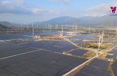 越南清洁能源产量年均增速首次冲上10%大关
