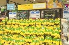 越南香蕉与日本市场同类产品相比具有竞争力