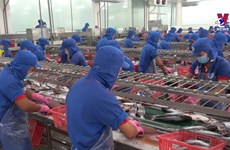 越南再添6家查鱼加工企业获准对美出口查鱼产品