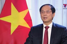 越南外长接受采访：越柬两国保持团结一心与互助互济