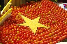 越南跻身2022年世界十大美食国家榜单, 排名第五