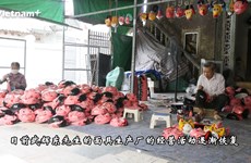 造访越南传统中秋玩具手工艺村——翁好村