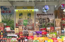 越南商品在香港工展会上备受青睐