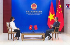 中国驻越大使：越南是对外开放程度非常高、充满活力的经济体