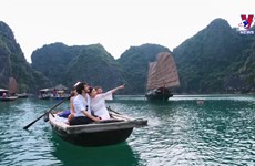 《越南2030年旅游营销战略》对外发布