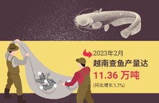 图表新闻：中国边境口岸恢复通关 越南查鱼出口前景广阔