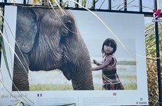 法国摄影师雷哈恩向法国公众推介越南独特之美