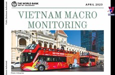 世行：越南政府应考虑通过加快公共投资资金到位进度来援助