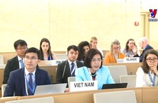 越南强调实质性对话和有效合作以促进和保护人权
