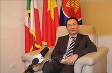 越南驻意大利大使杨海兴强调越南与梵蒂冈的新发展步伐