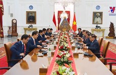 政府总理范明政会见印尼总统佐科•维多多