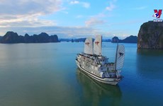 越南有9处遗产被联合国教科文组织公认为世界自然和文化遗产