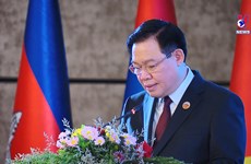 越南国会主席在第一届柬老越国会高层会议上发表讲话