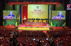 越南农民协会第八次全国代表大会隆重开幕