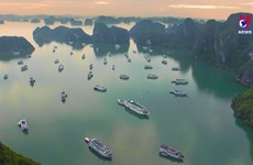 越南力争2024年旅游业全面复苏
