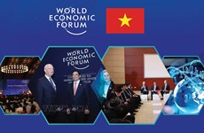 图表新闻：越南与WEF之间的关系