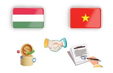 图表新闻：越南-匈牙利全面伙伴关系