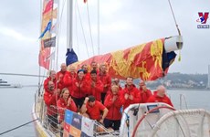克利伯环球帆船赛参赛船队已抵达下龙国际客船港