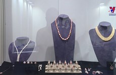 越南企业参加中国香港国际钻石、宝石及珍珠展 