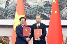 越南国会主席王廷惠与全国人大常委会委员长赵乐际举行会谈