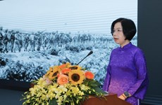 越通社举行多项活动 切实庆祝奠边府大捷70周年