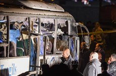 载有越南游客的埃及旅游巴士遭爆炸袭击（组图）