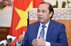 阮国勇：越南引导东盟充分发挥核心作用