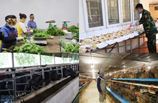 北江省扩展确保食品安全模式