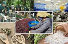 2023年第四季度越南农林水产品出口将保持增长