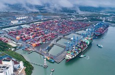 越南发布海港系统发展总体规划实施方案