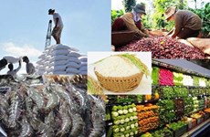 越南为农产品开拓韩国市场 