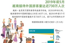 图表新闻：2019年前5月越南接待外国游客量达近730万人次