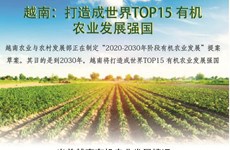 图表新闻：越南打造成世界TOP15 有机农业发展强国