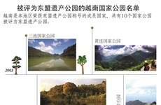 图表新闻：被评为东盟遗产公园的越南国家公园名单