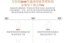 图表新闻：力争到2030年越南国家管理机构 女领导干部占75%