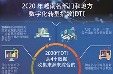 图表新闻：2020年越南各部门和地方数字化转型指数