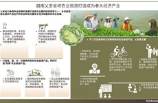 图表新闻：越南乂安省将农业旅游打造成为拳头经济产业