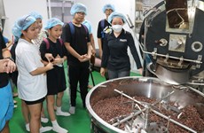 组图：来西南部地区品尝越南正宗的巧克力