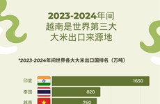图表新闻：2023-2024年间越南是世界第三大 大米出口来源地